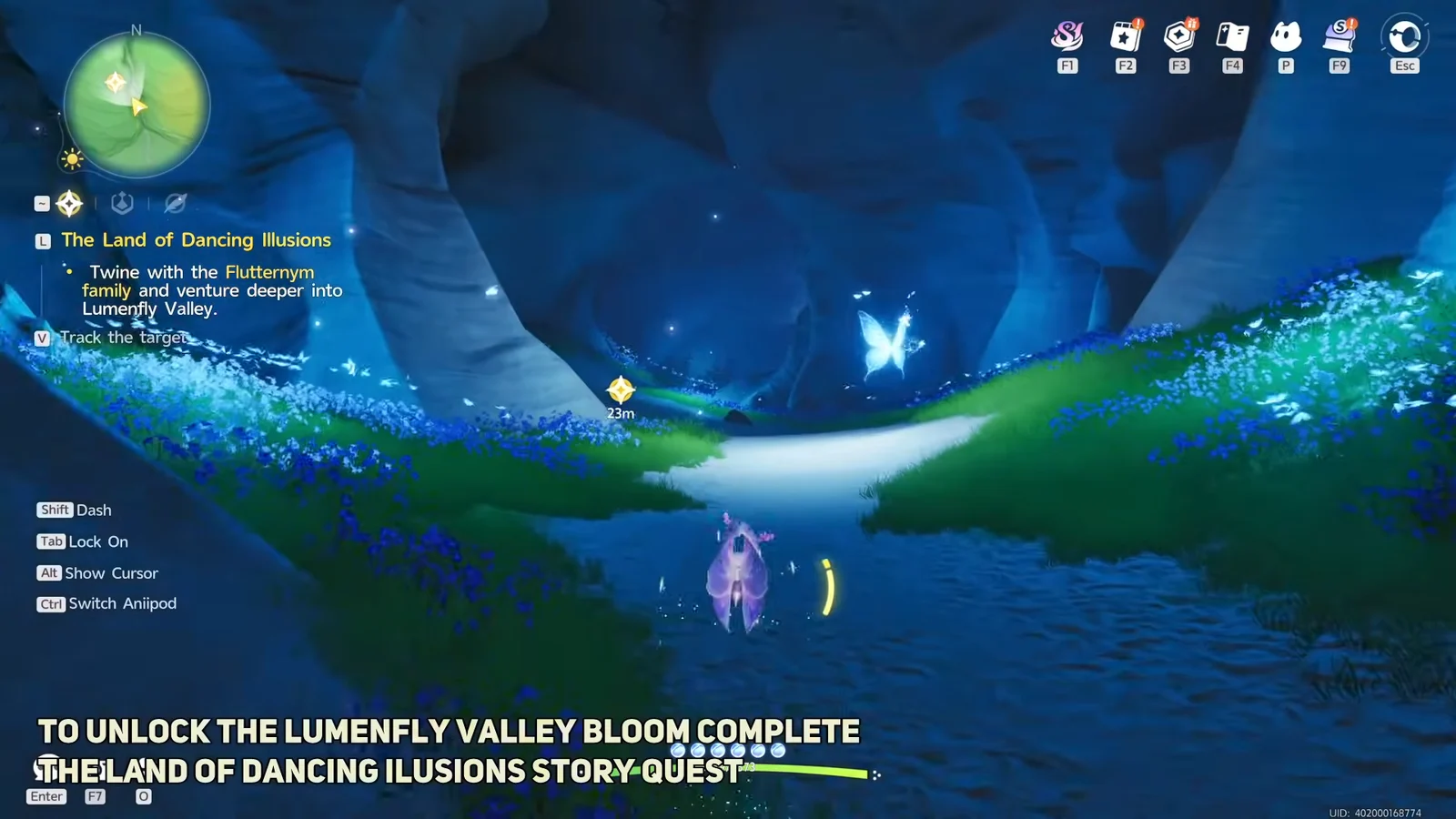 Flying Through the Cave