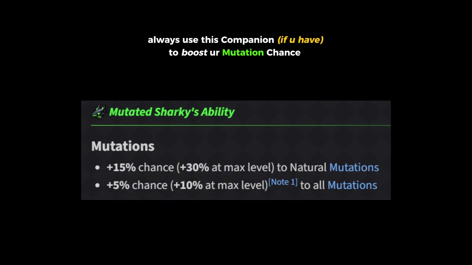 Companion Recommendation