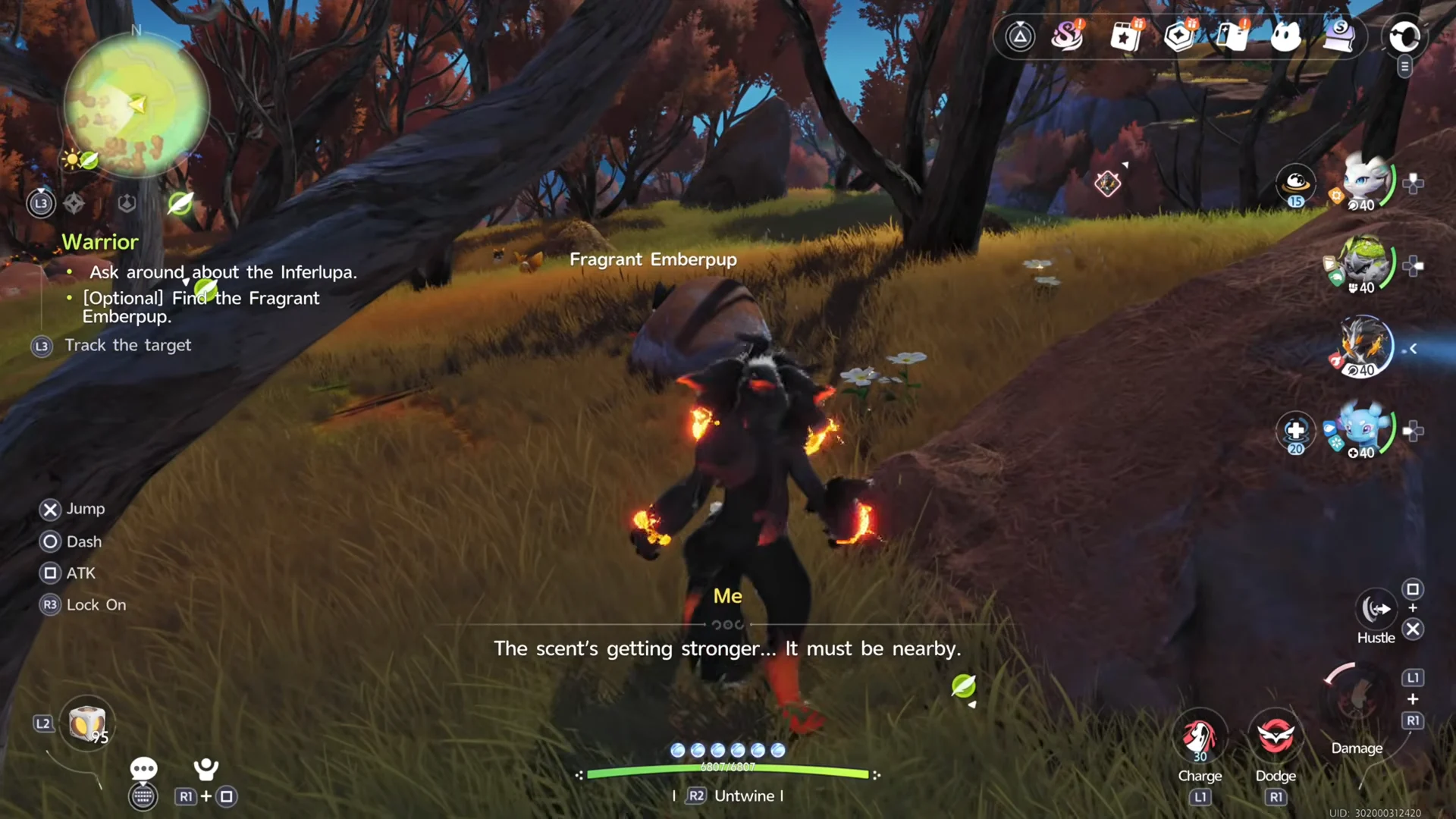 Finding the Emberpup
