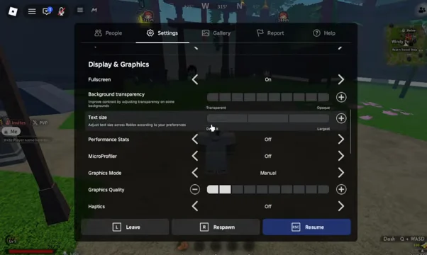 Configuring Graphics Settings