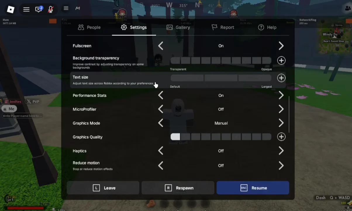 Configuring Graphics Settings