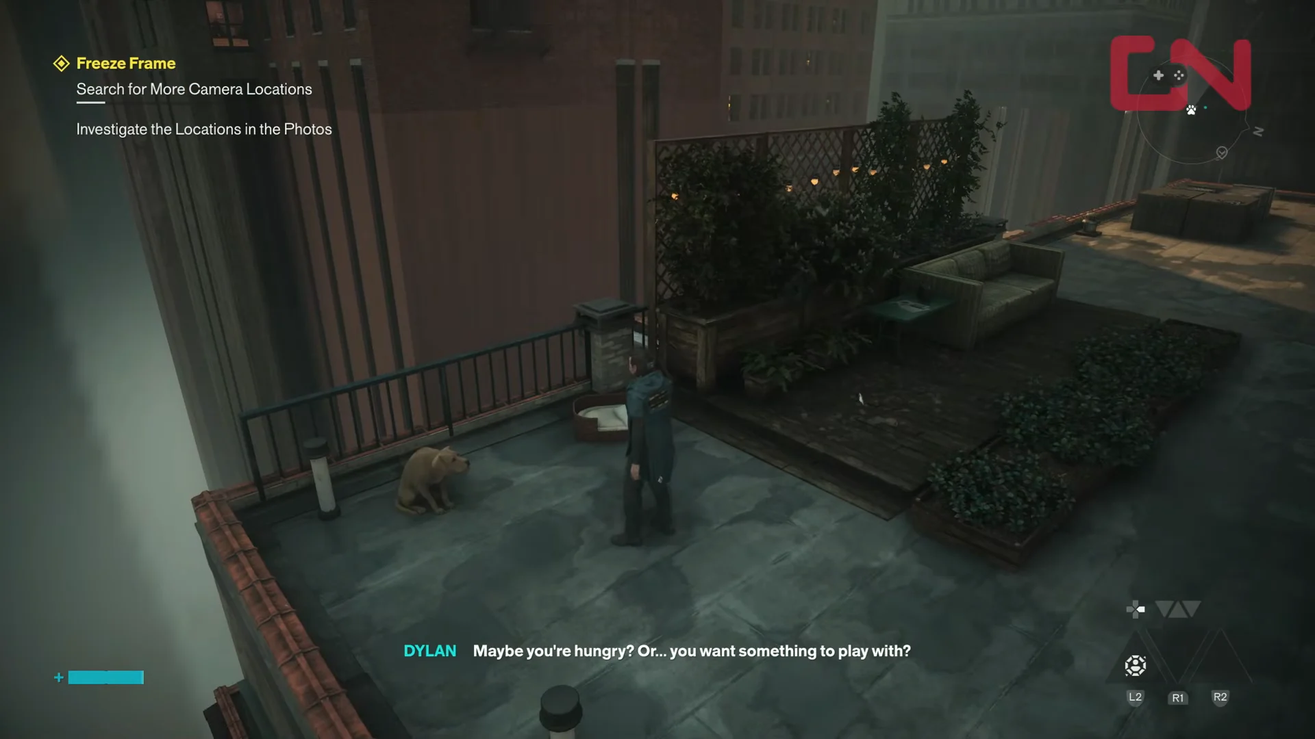 Finding the Dog