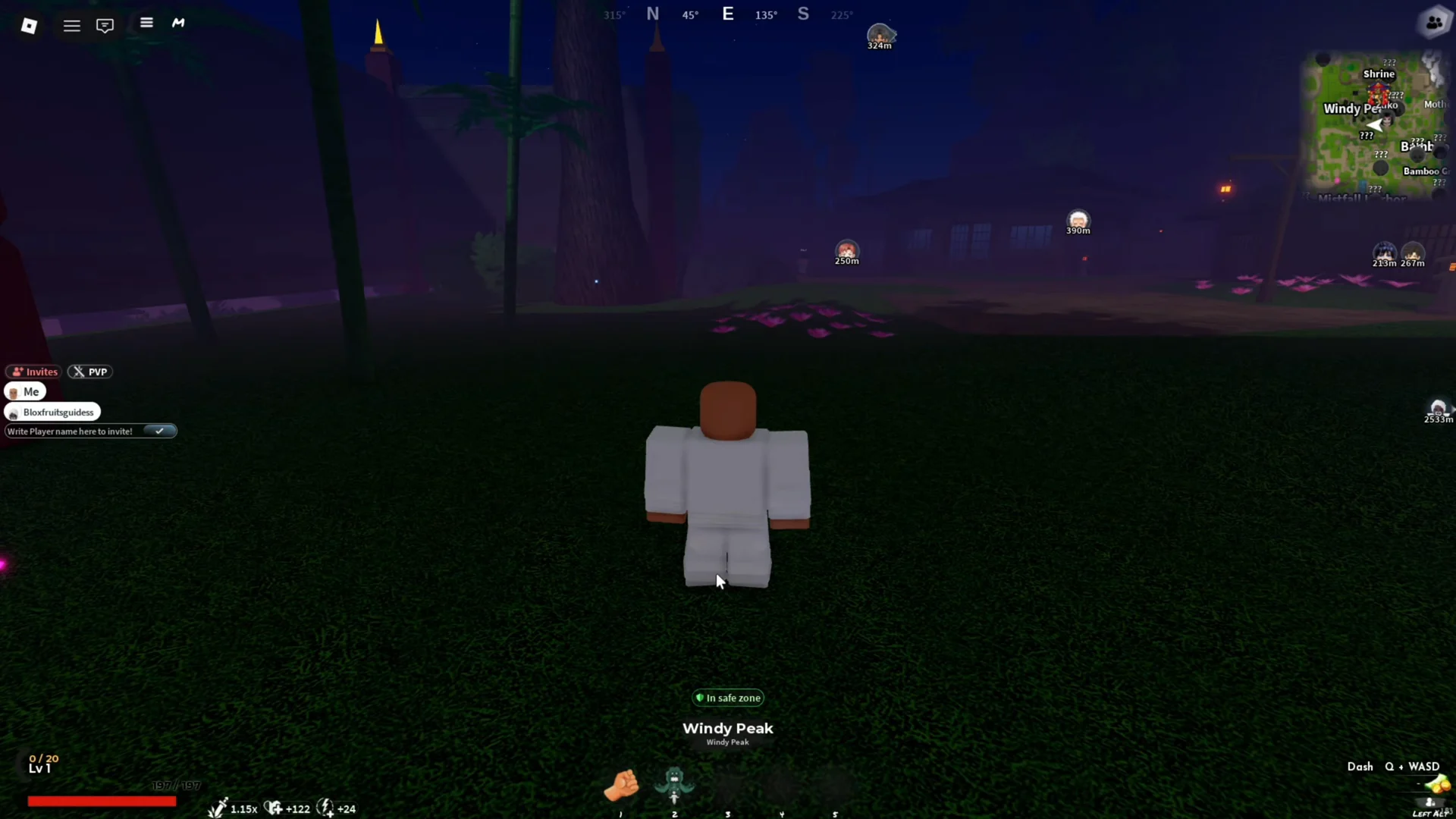 Human character confirmation