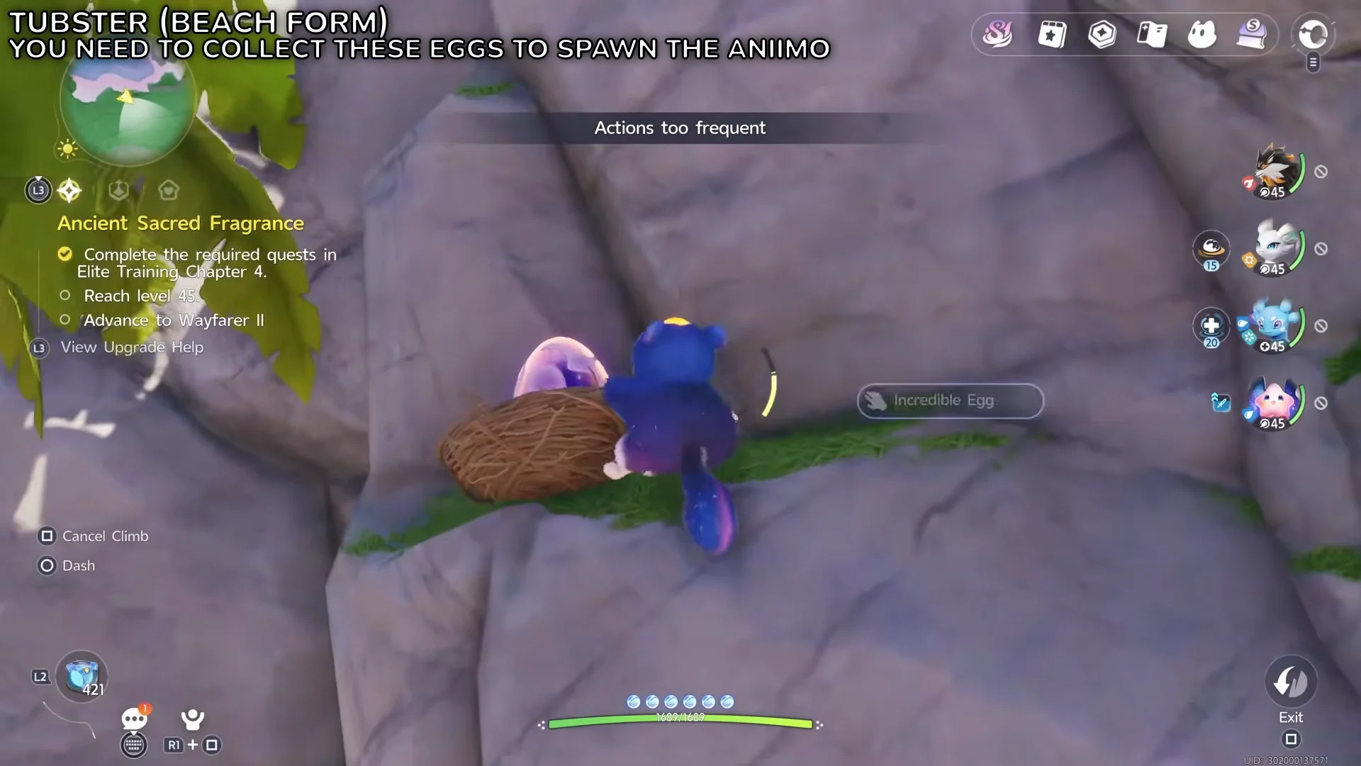 First Egg Location