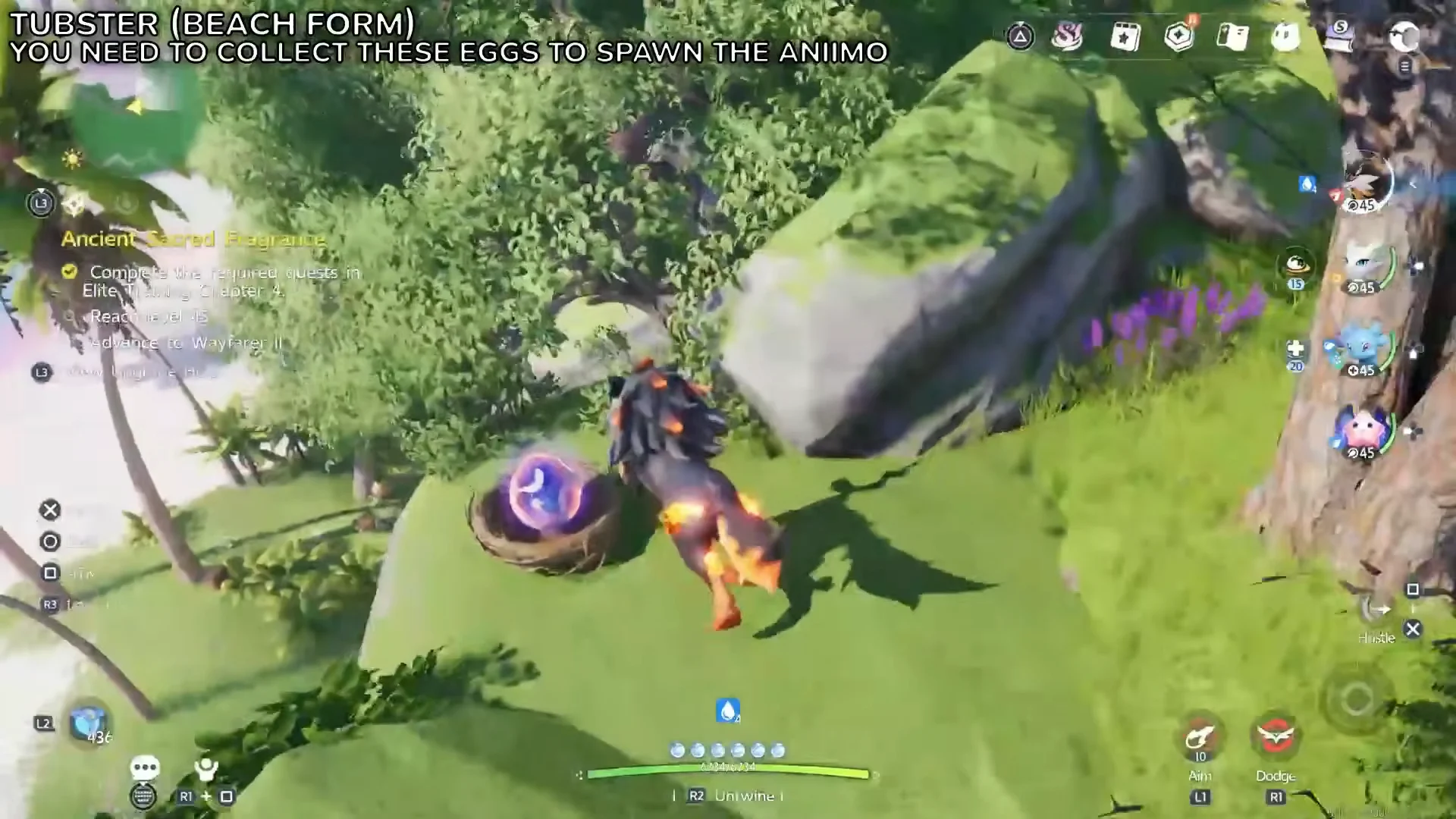 Second Egg Location
