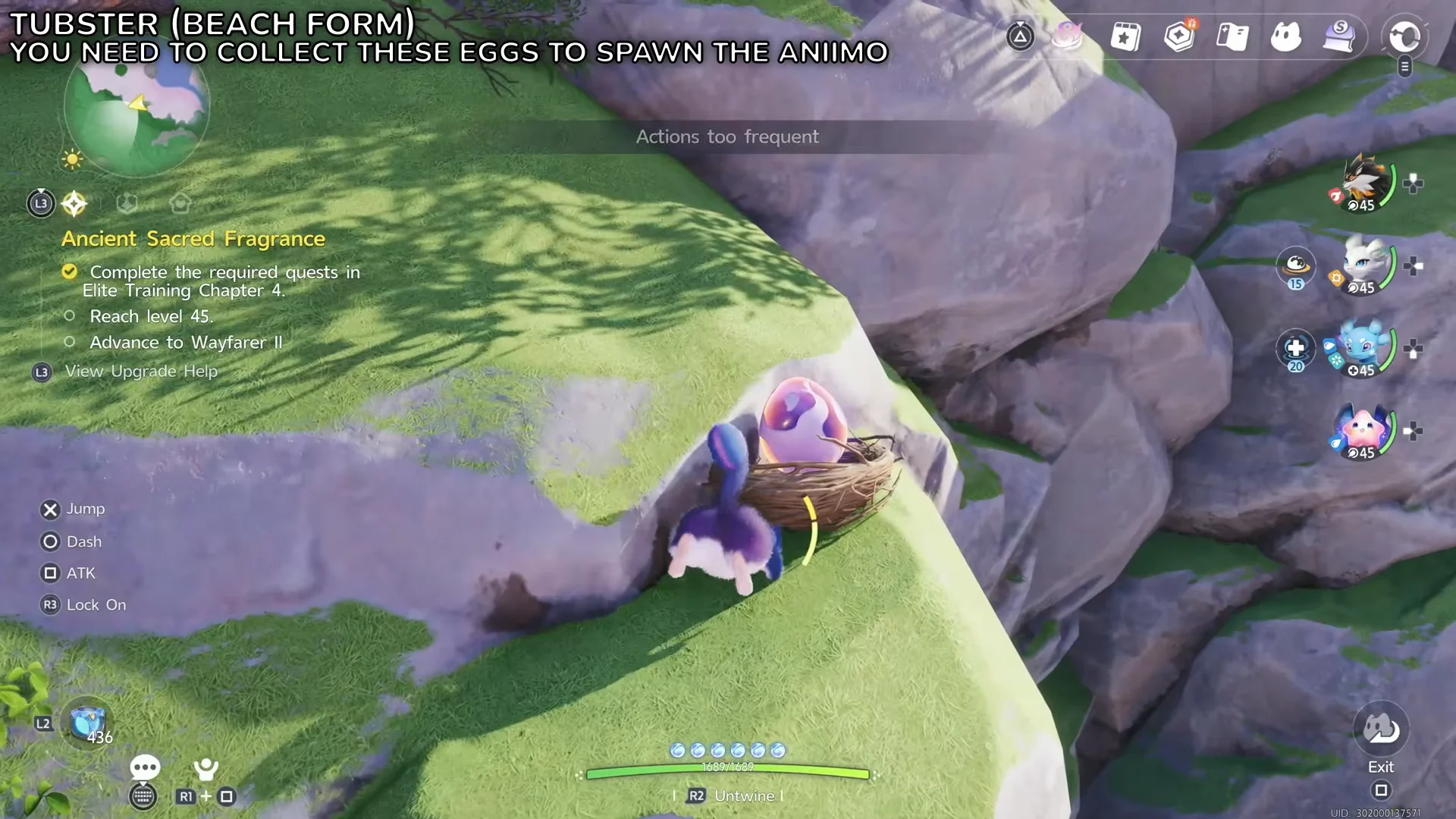 Third Egg Location