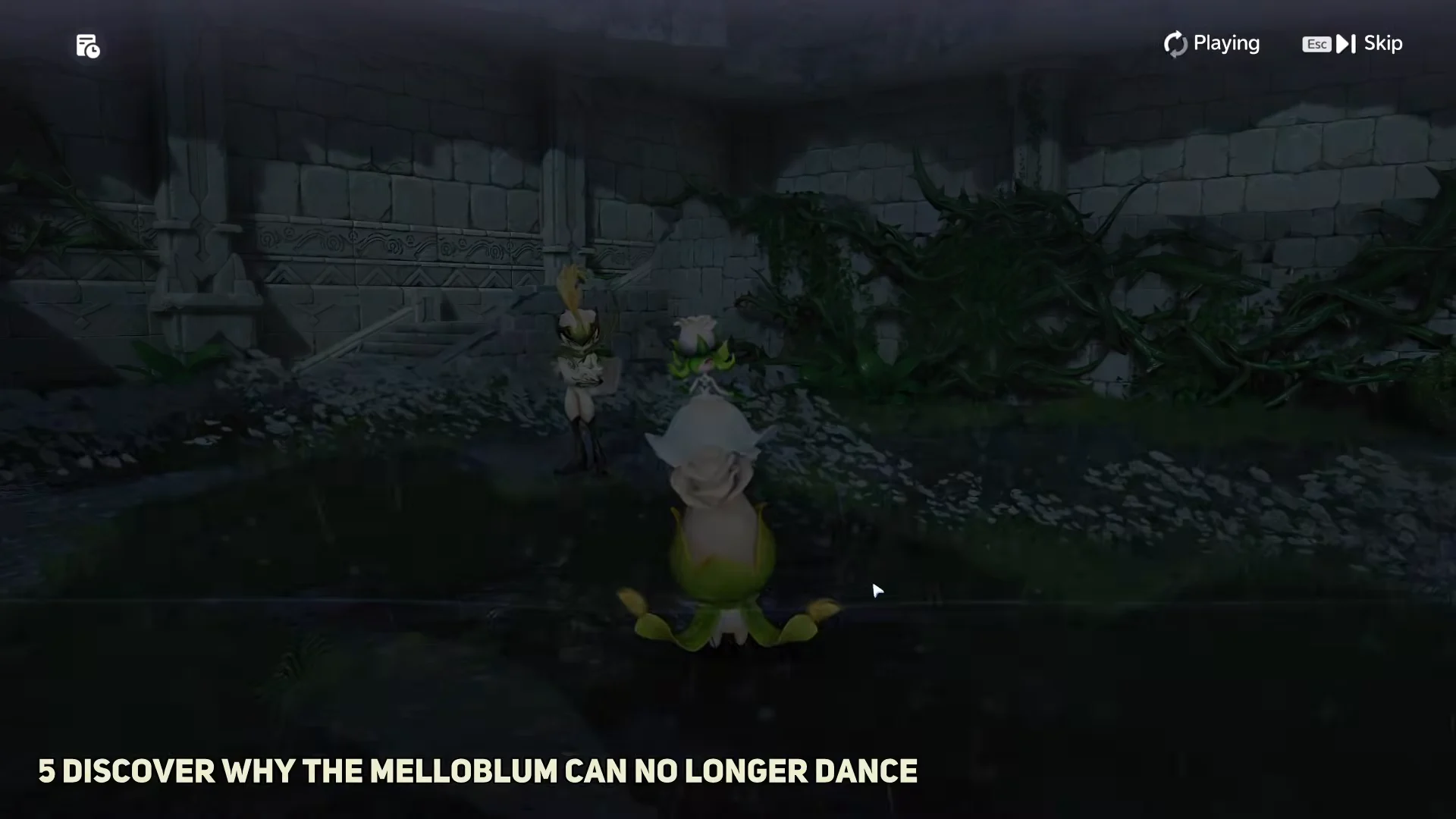 5 Discover why the Melloblum can no longer dance