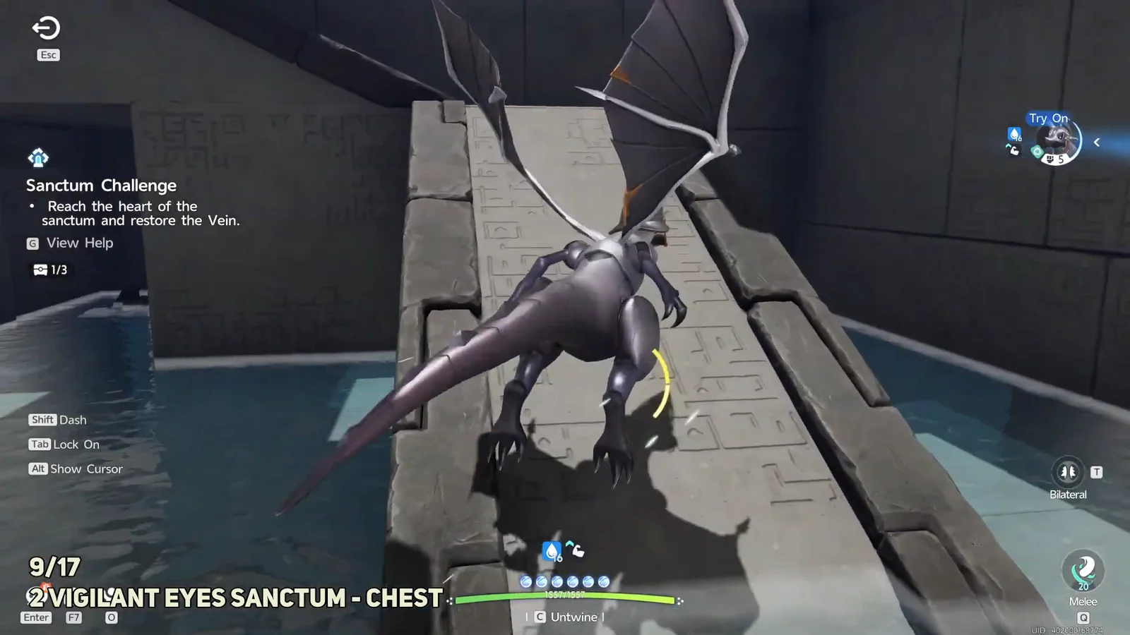 Vigilant Eyes Sanctum Chest 2