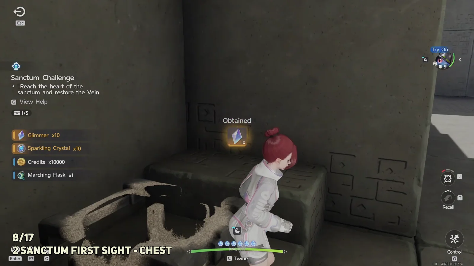 Sanctum First Sight Chest 2