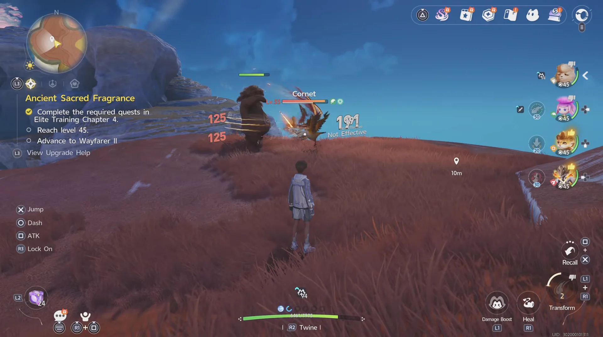 In-game field view
