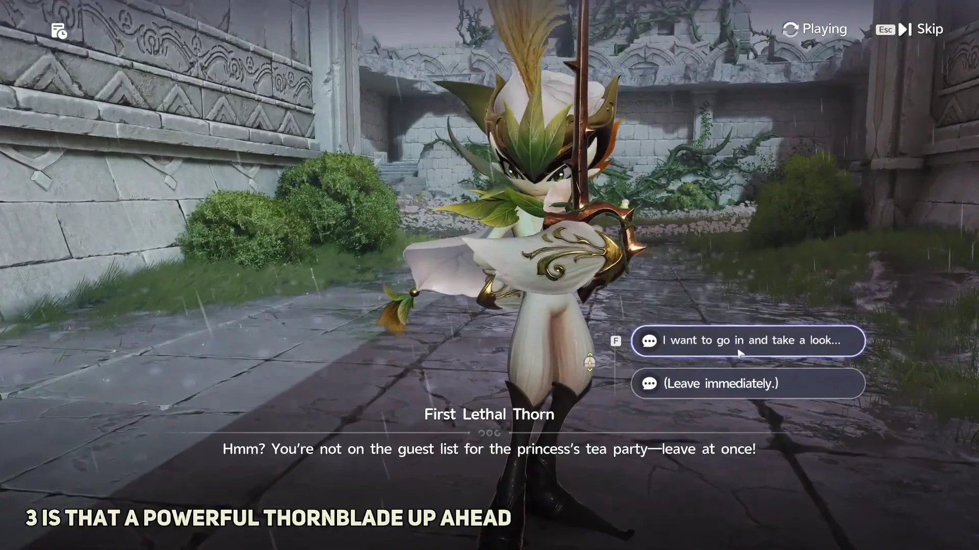 Confronting the Thornblade
