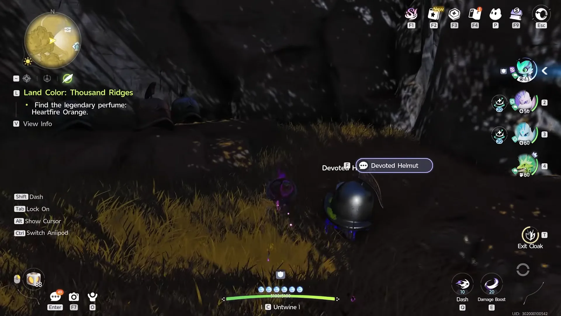 Sneaking the Helmet