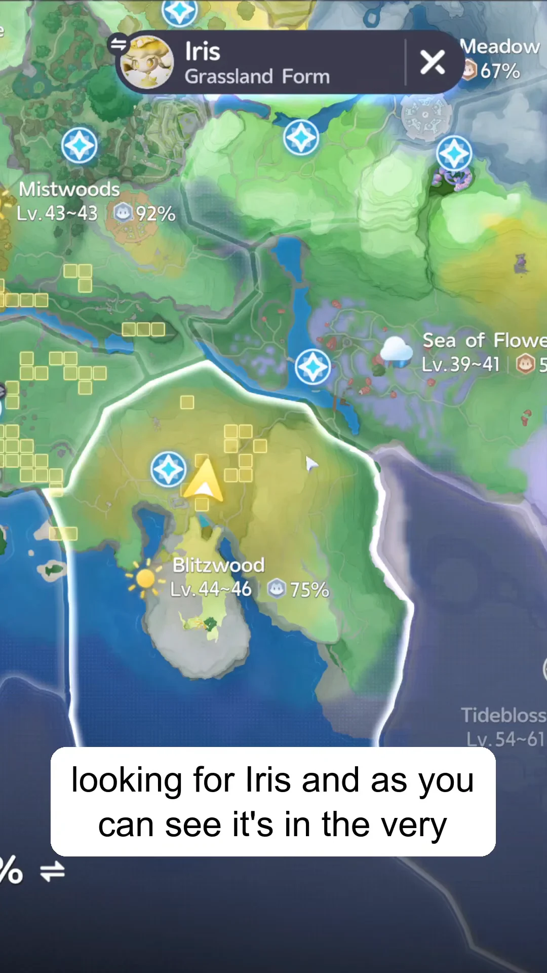 Map Overview