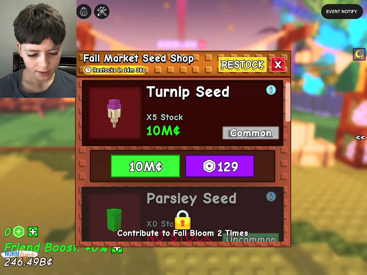 Fall Market Seed Shop