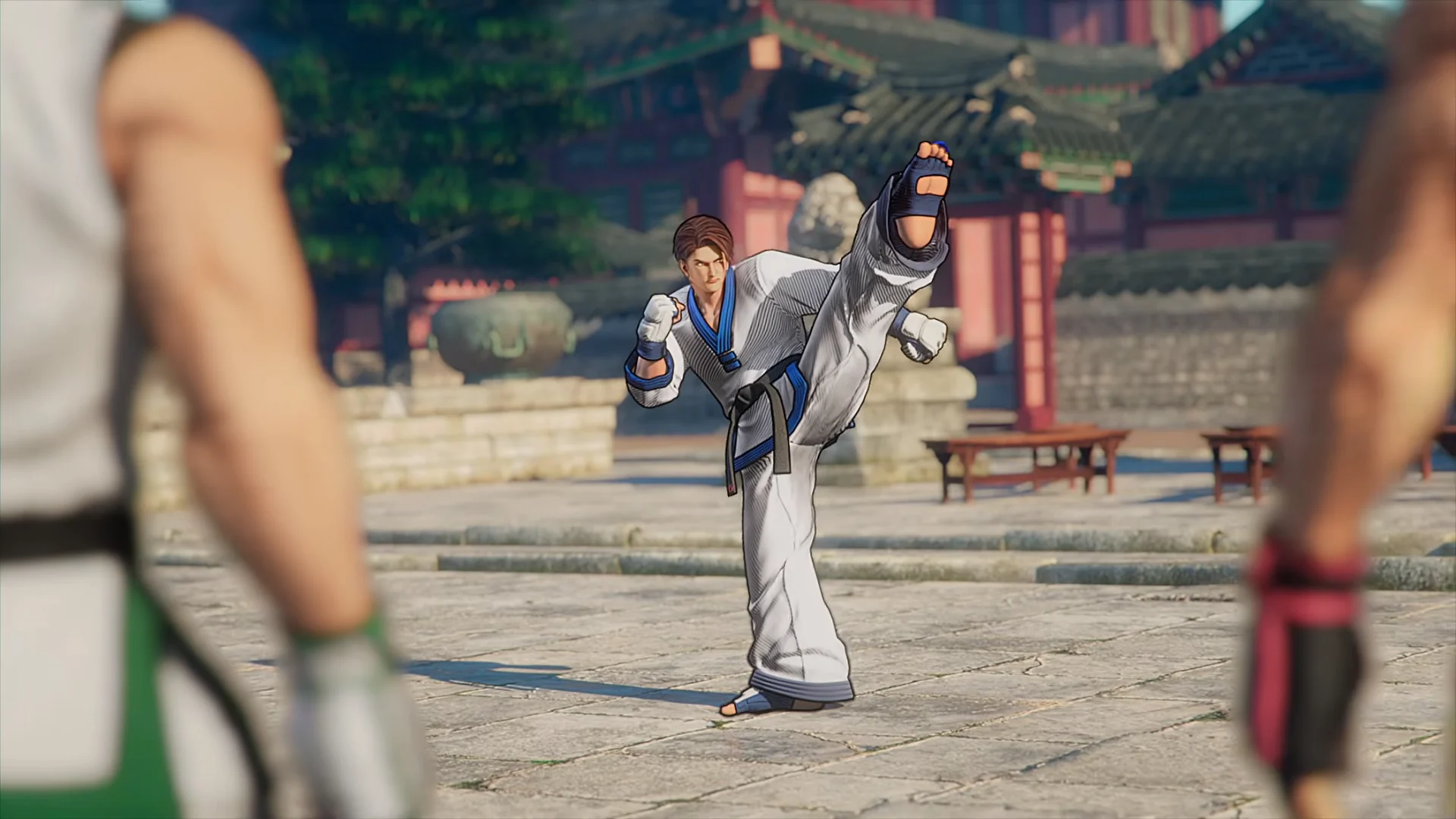 Taekwondo Stance & Taunt