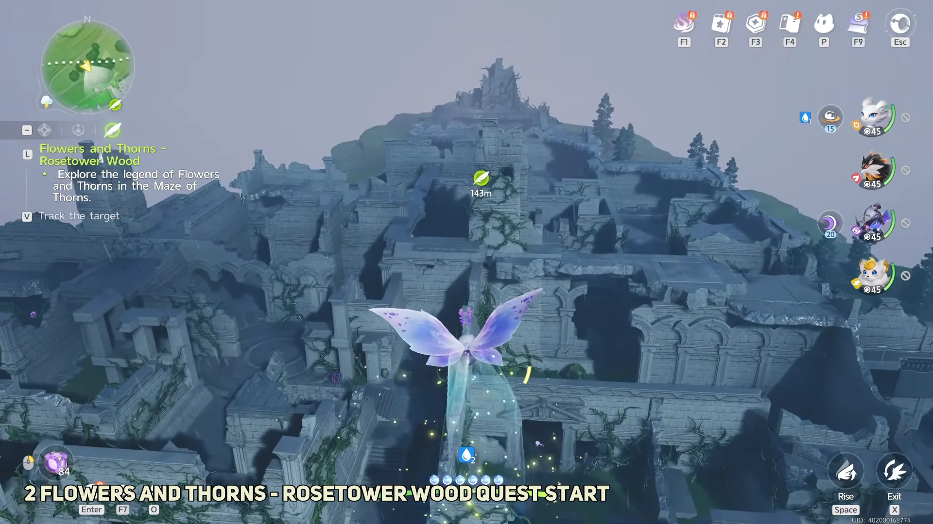 Gliding to the Maze