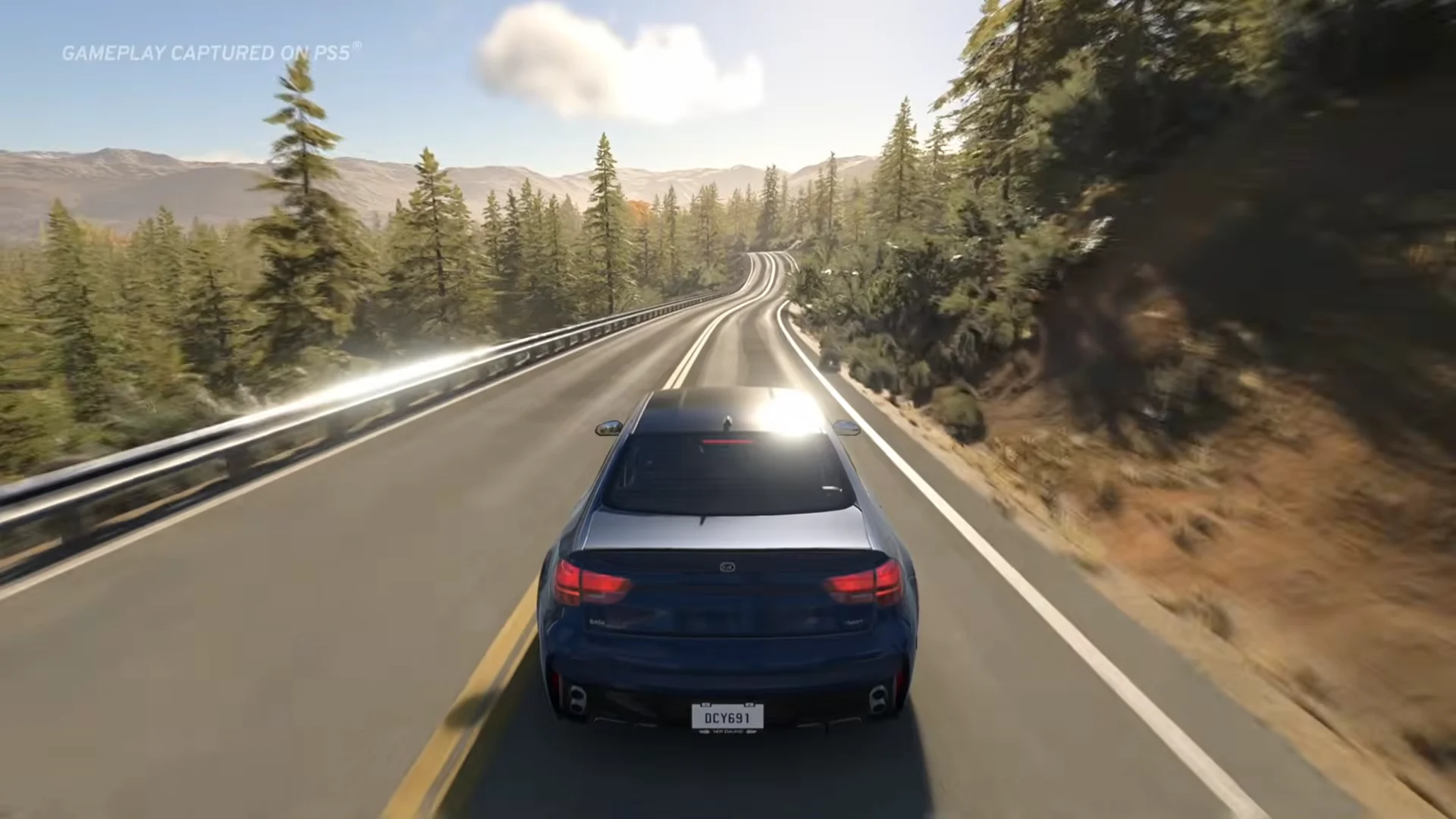 Forest highway