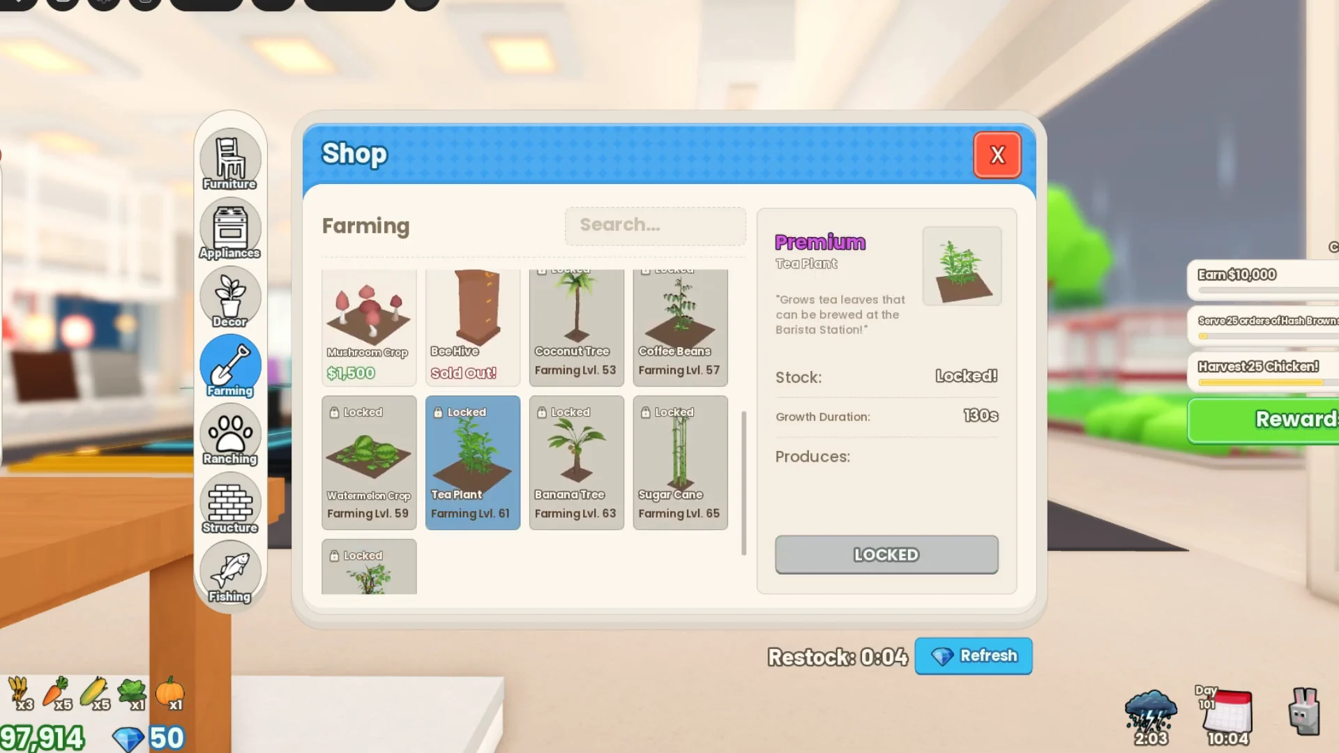 Tea Plant in Shop