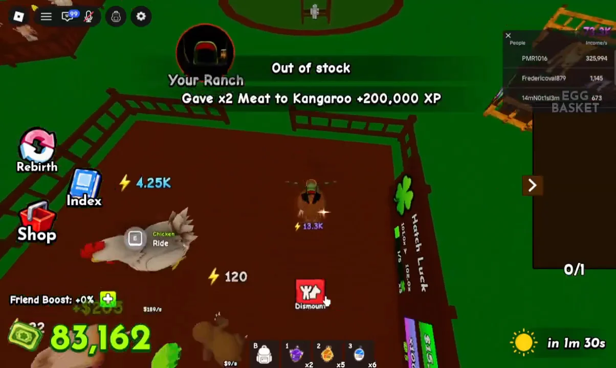 Feeding the Pet