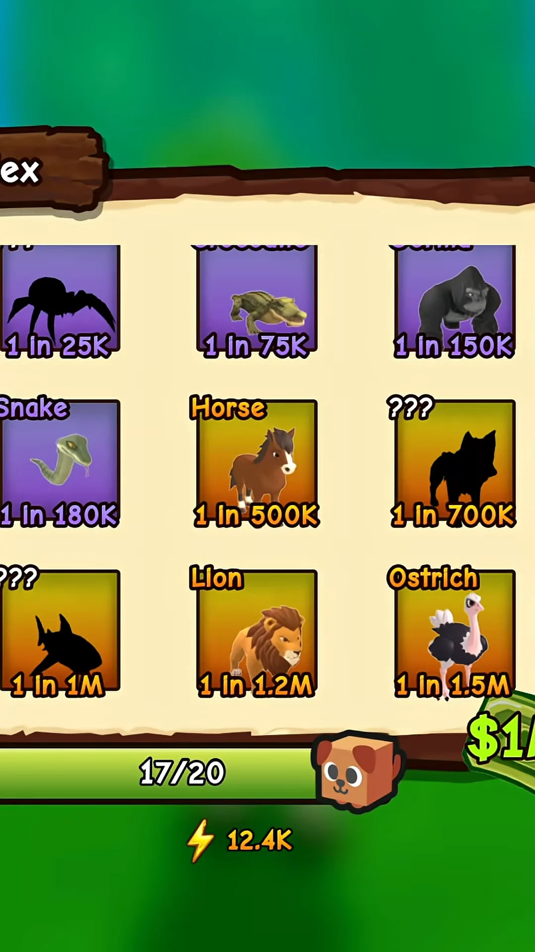 Checking Horse odds in the Index