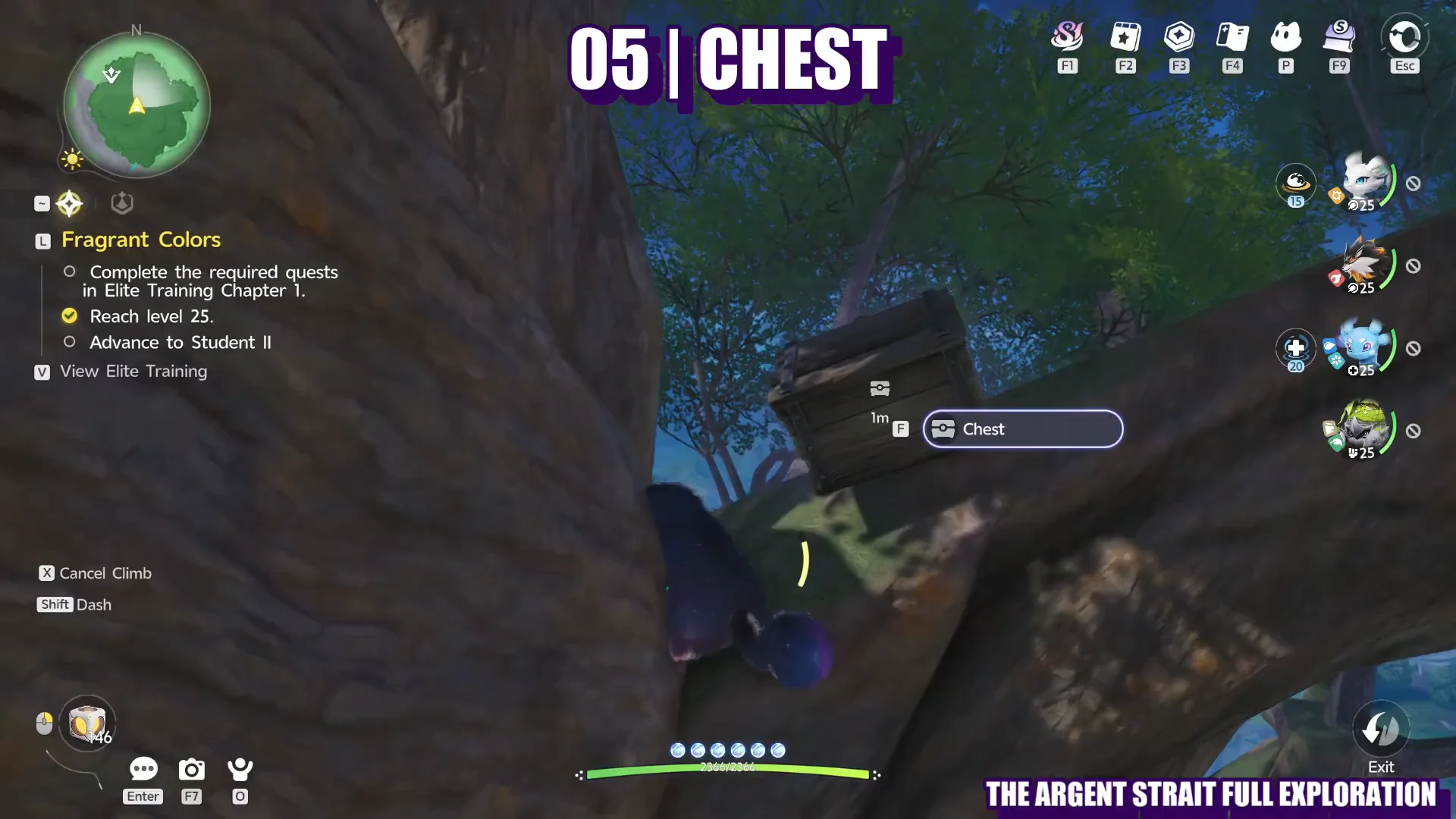 05 Chest