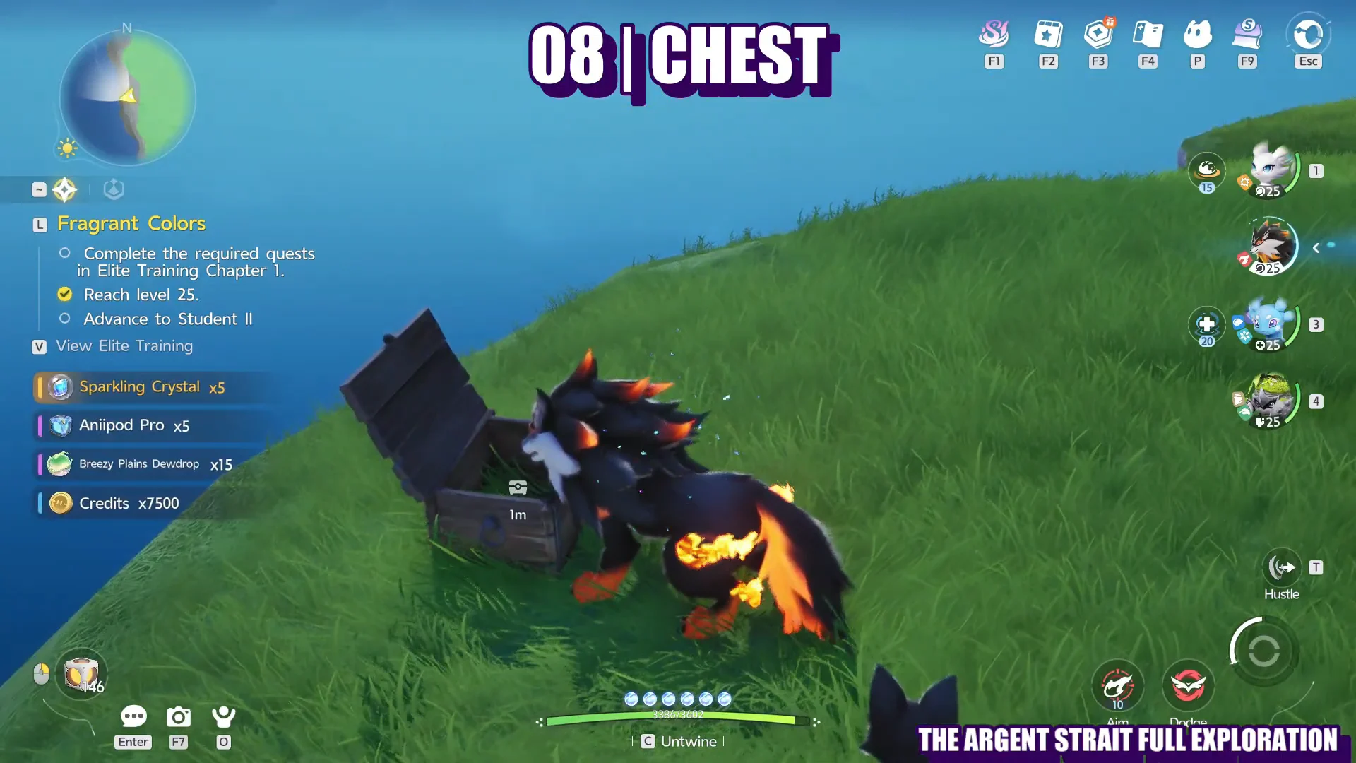 08 Chest