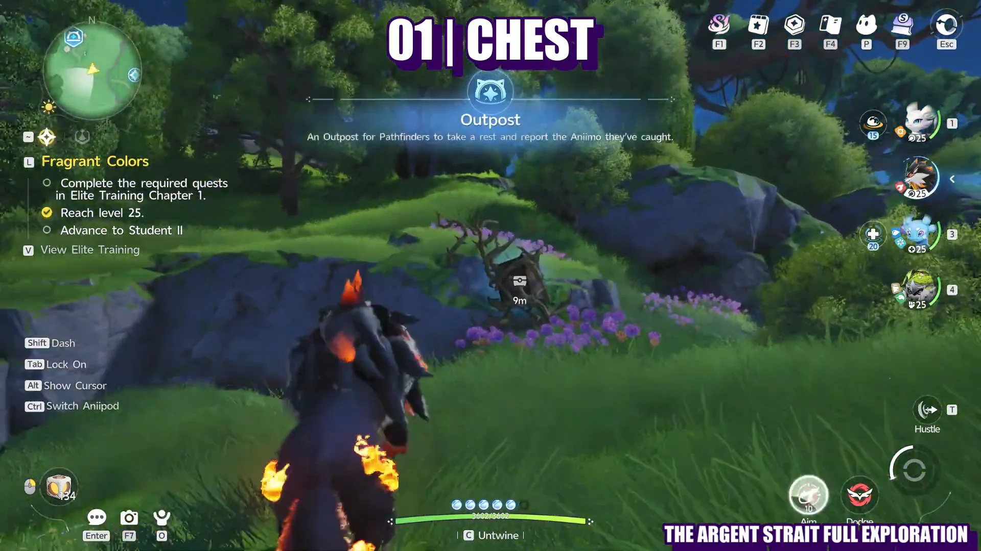 01 Chest