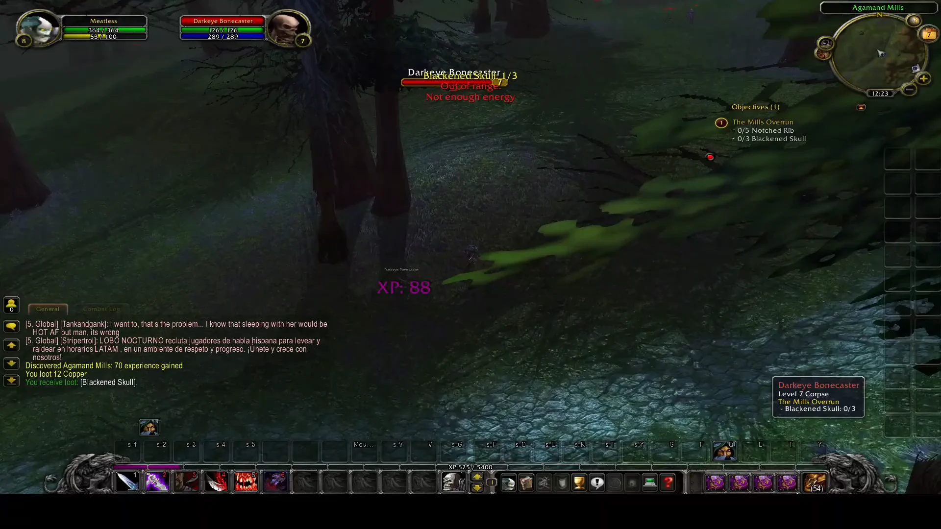 Entering Agamand Mills and First Skull