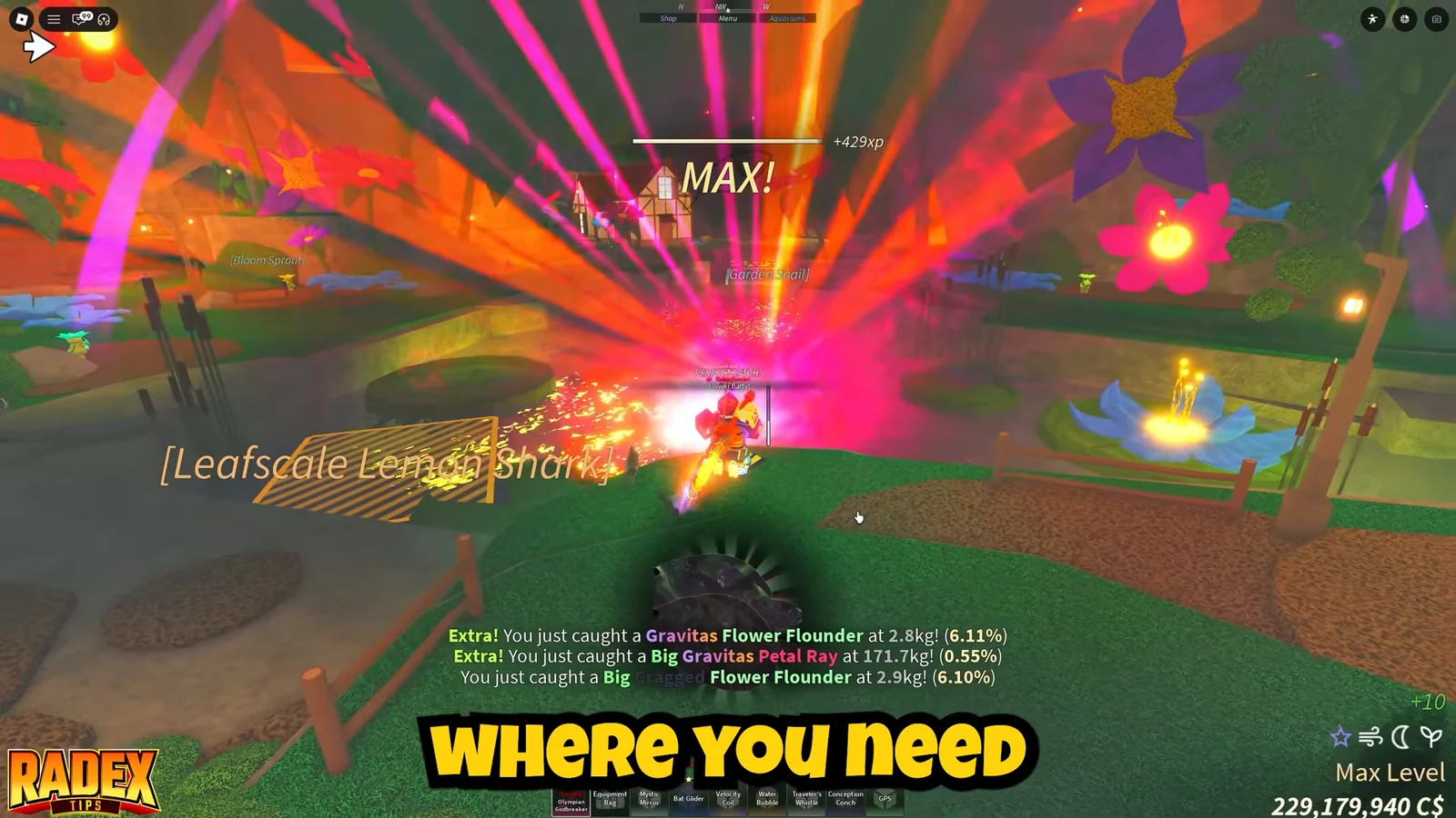 Quest 3: A Great Disturbance & Final Rewards