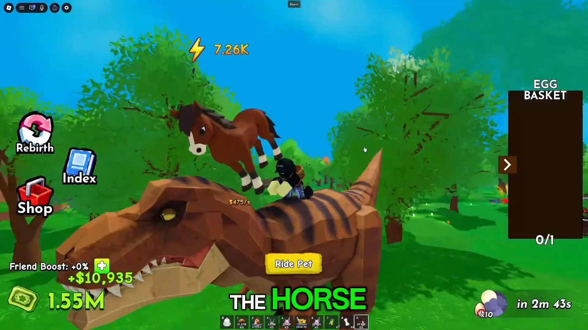 Horse and Pet Riding Overview