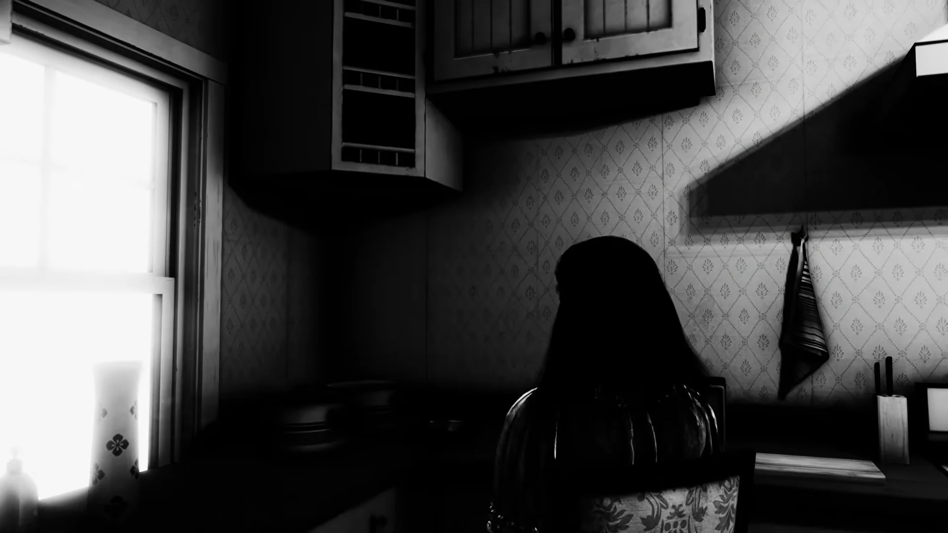 Kitchen Silhouette