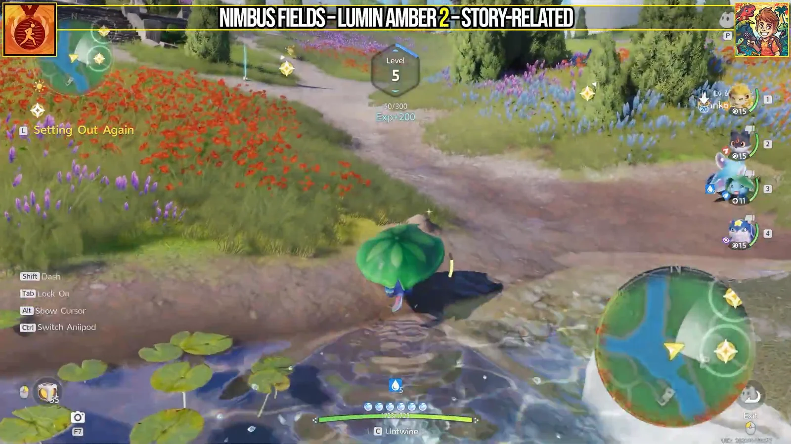 Nimbus Fields Treasure Chest 1