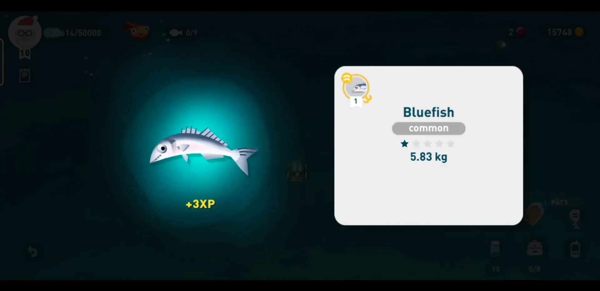 Catching Bluefish