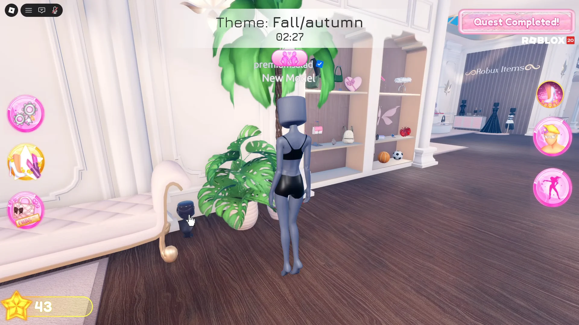 Finding the Mannequin Display