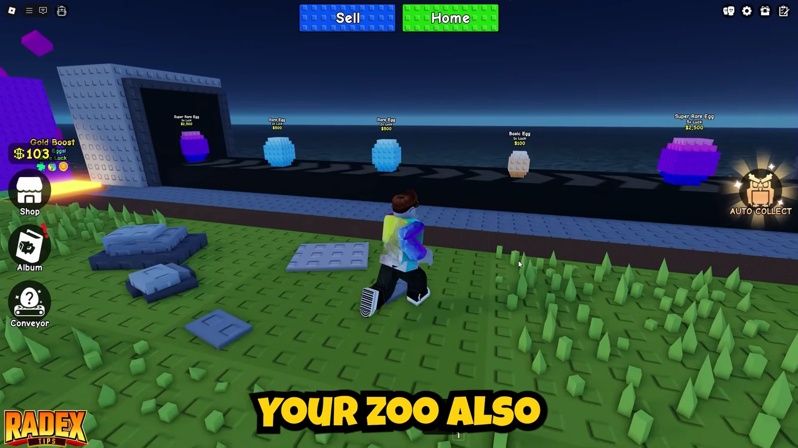 Teleport Features and Pet Rarities