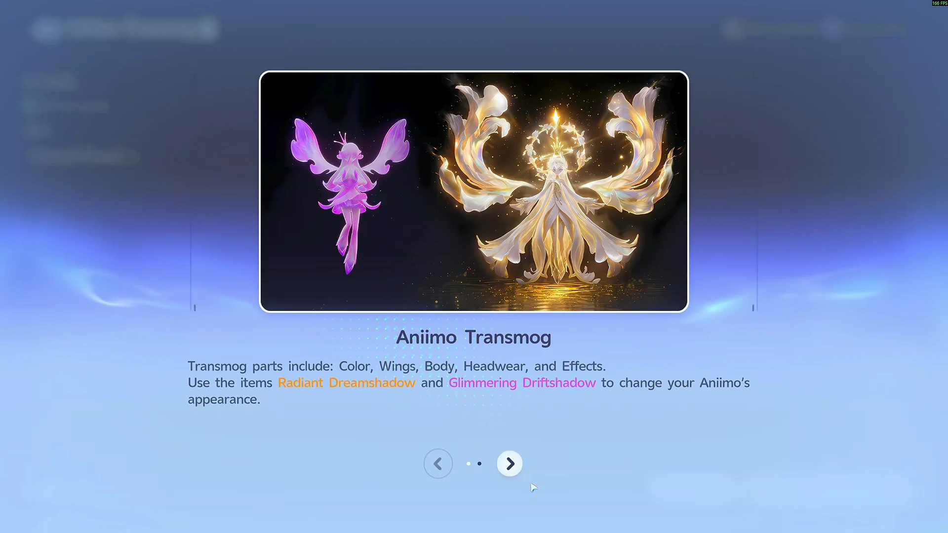 Transmog Info Guide