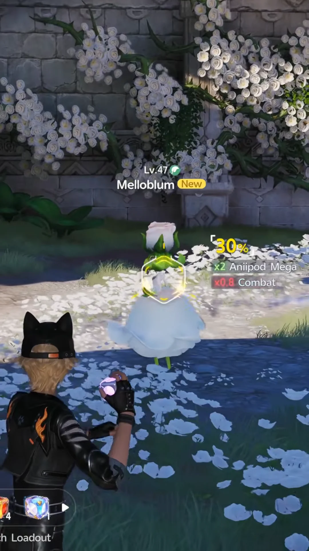 Capturing Melloblum