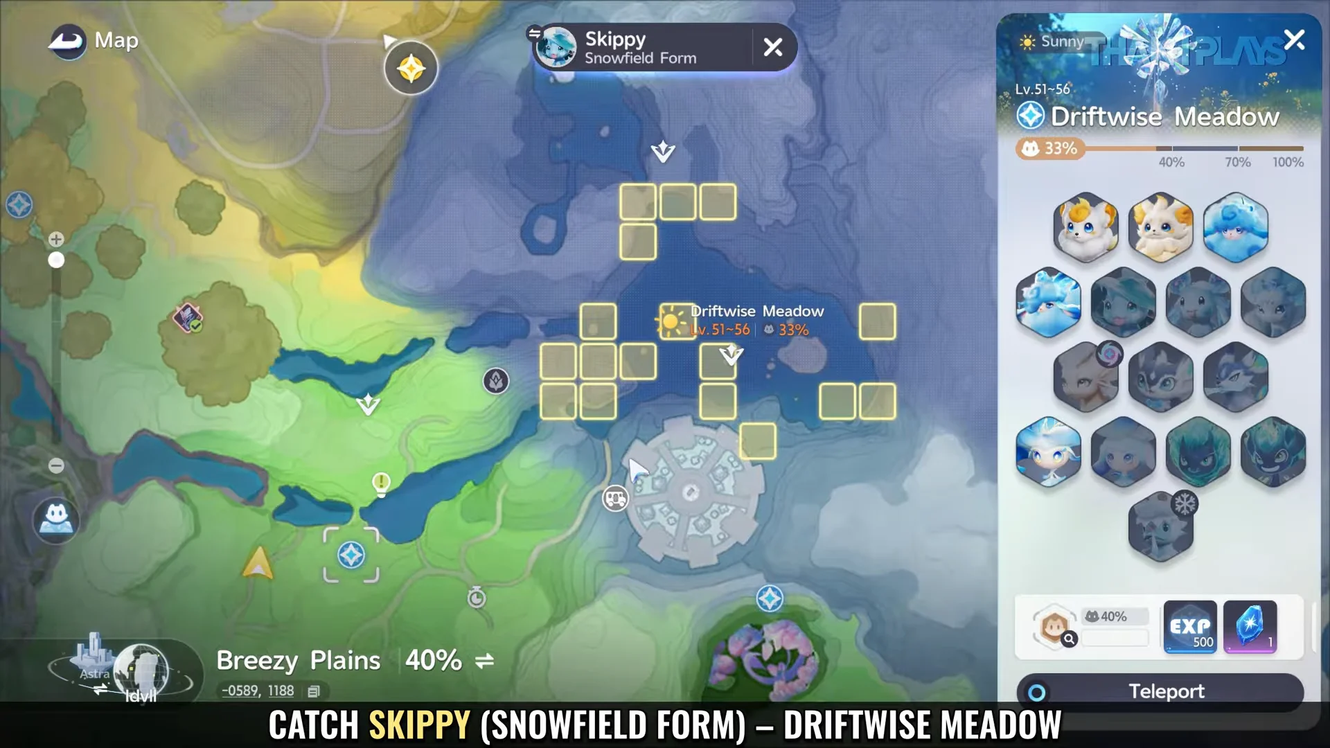 Catch Skippy (Snowfield Form)