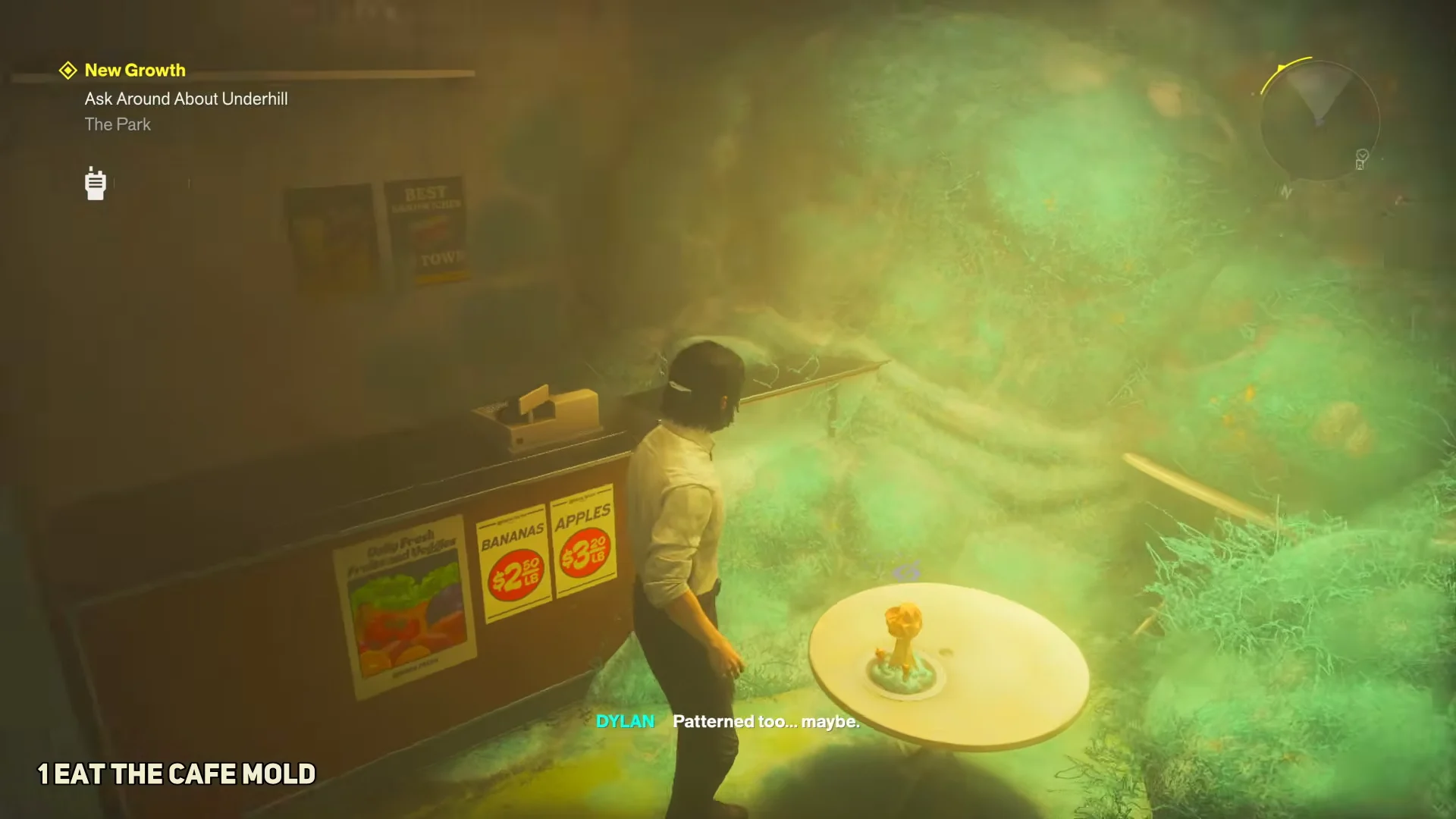 Discovering the Cafe Mold