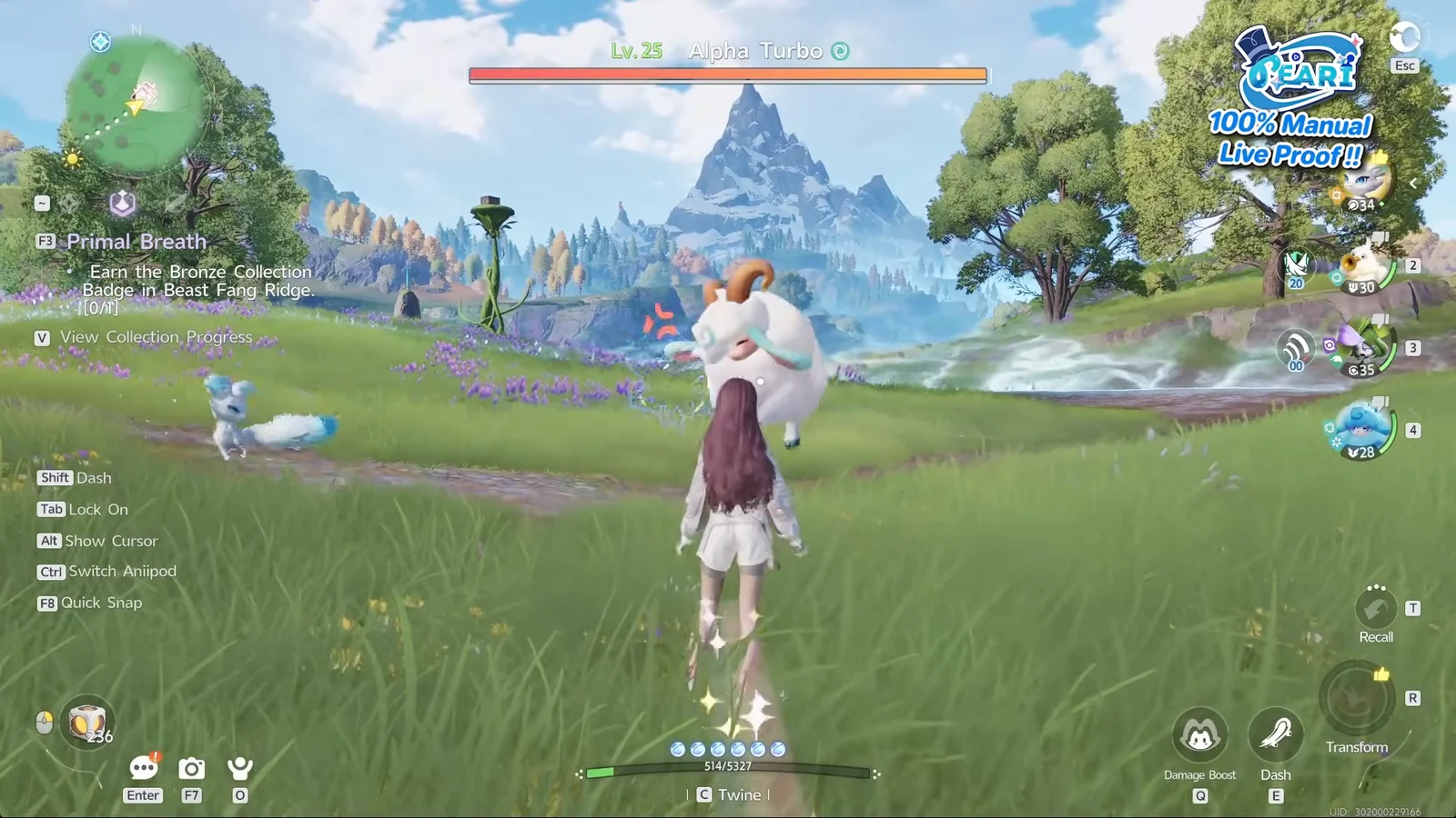 Video Loop