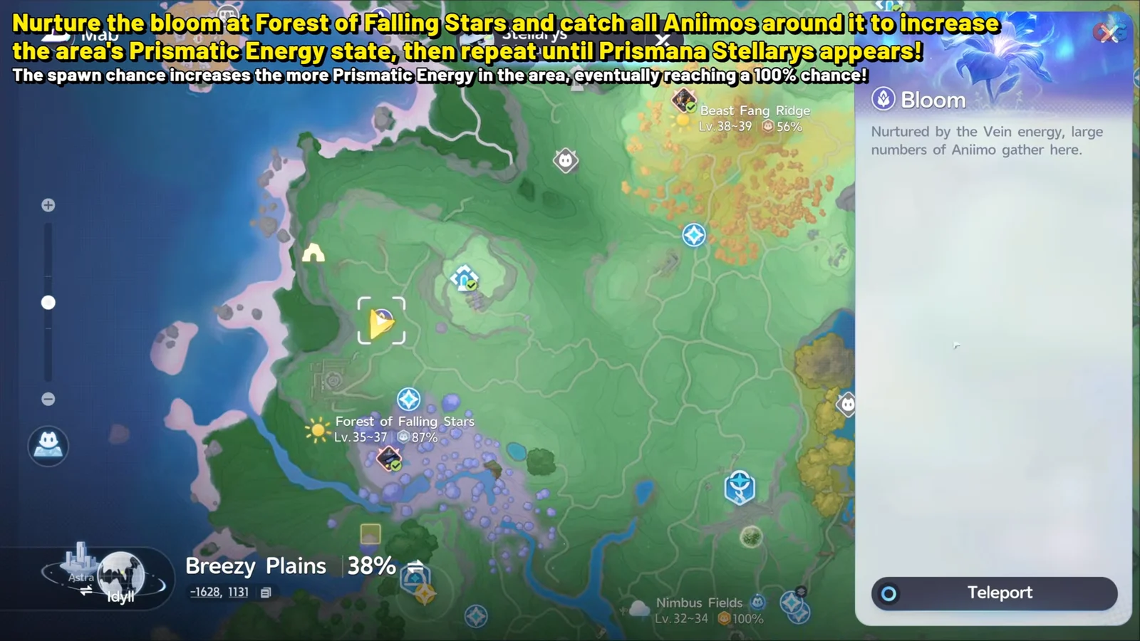 Selecting Forest Bloom