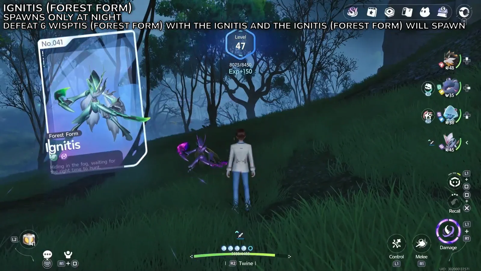 Forest Form Reveal