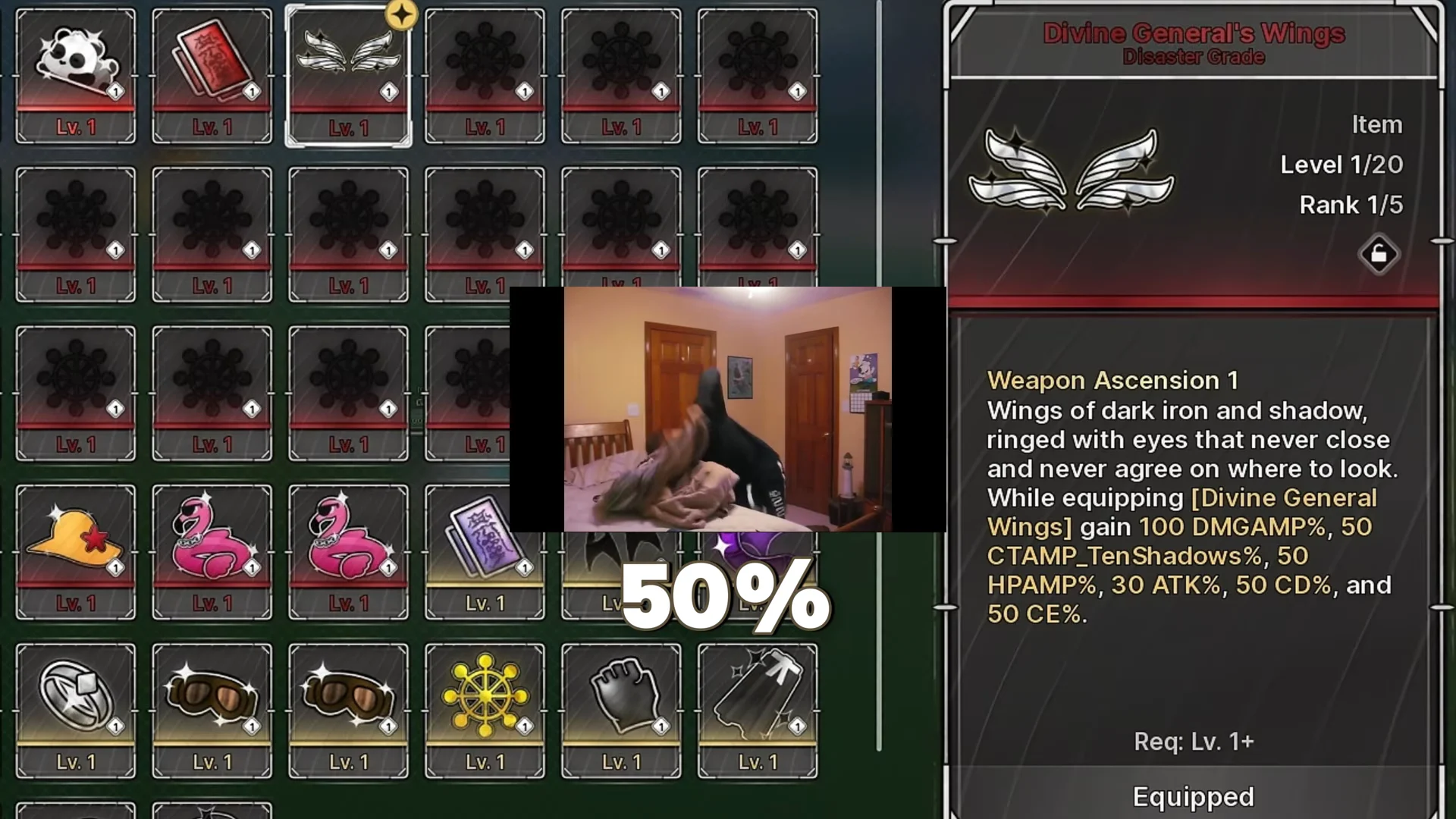 Wings Accessory Damage Comparison