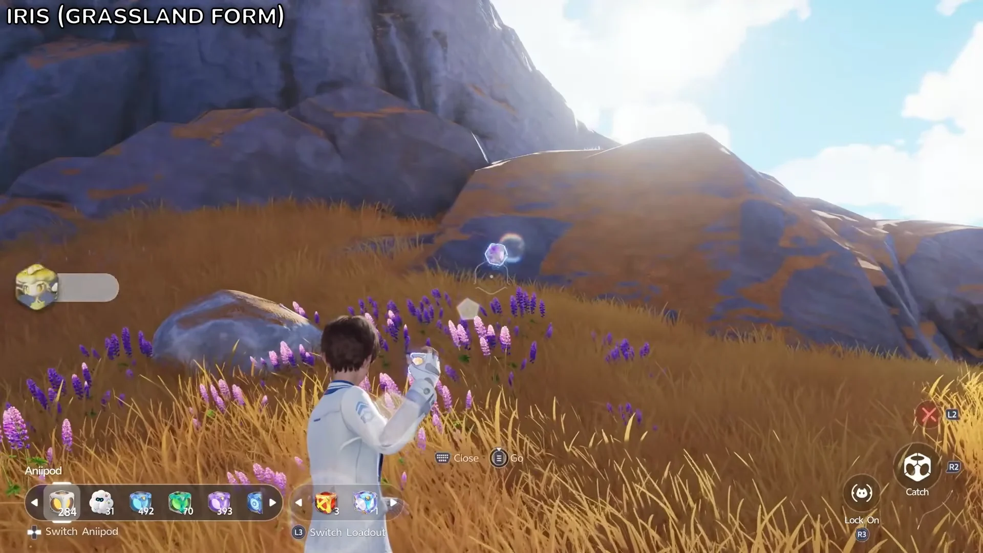 Map location and capture of Iris (Grassland Form) at coordinates -0679, 0687 in…