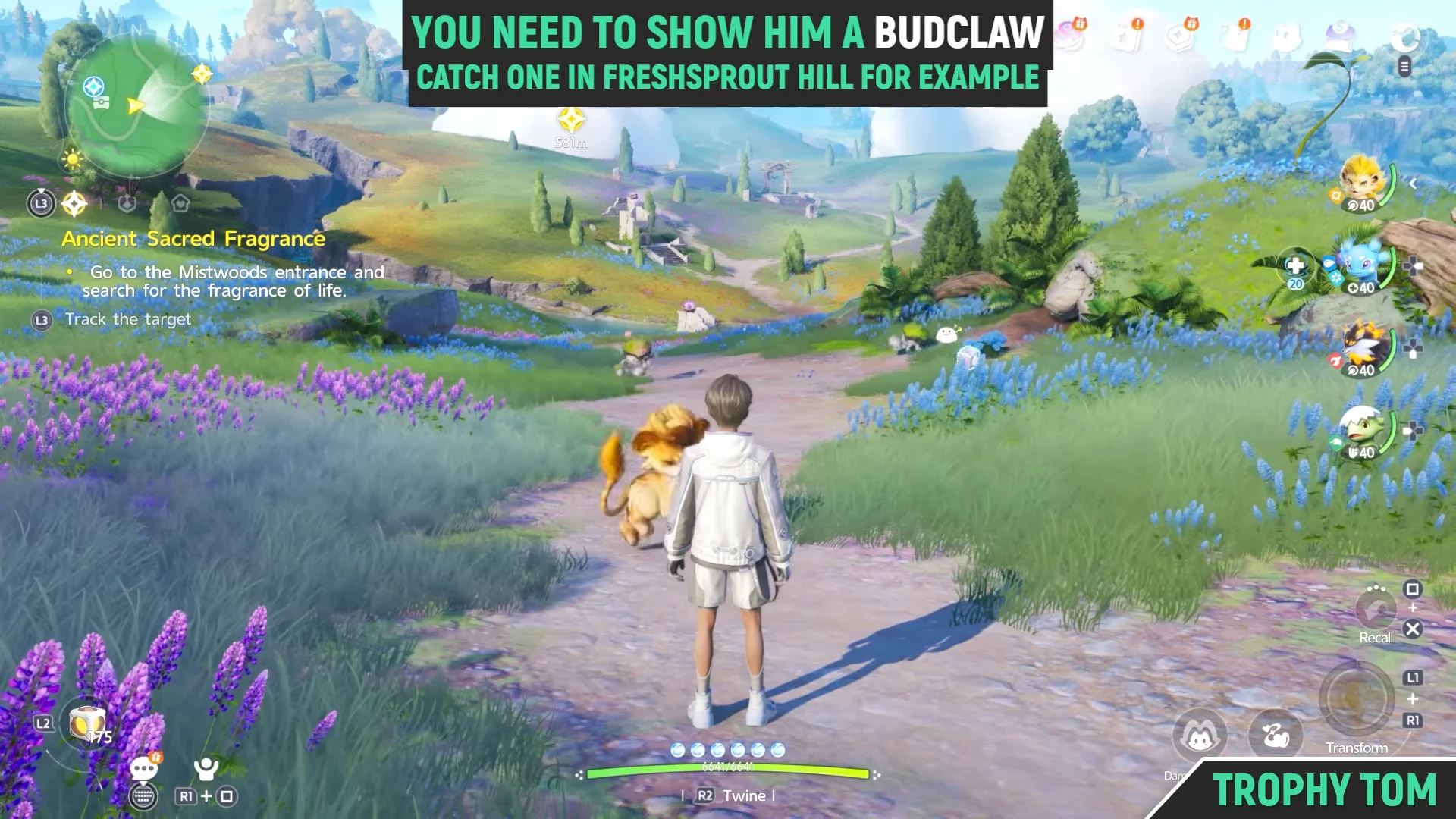 Catch a Budclaw at Freshsprout Hill