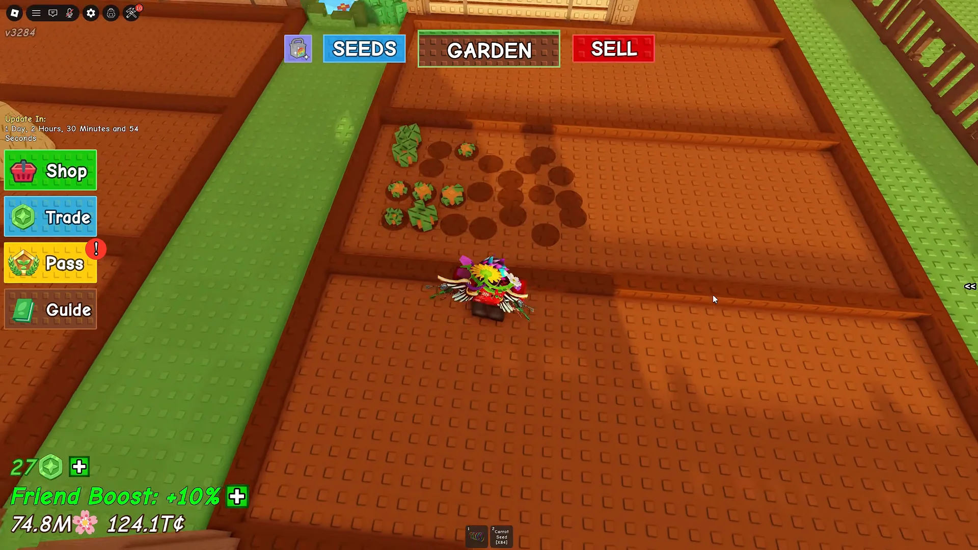 Planting and Harvesting Carrots