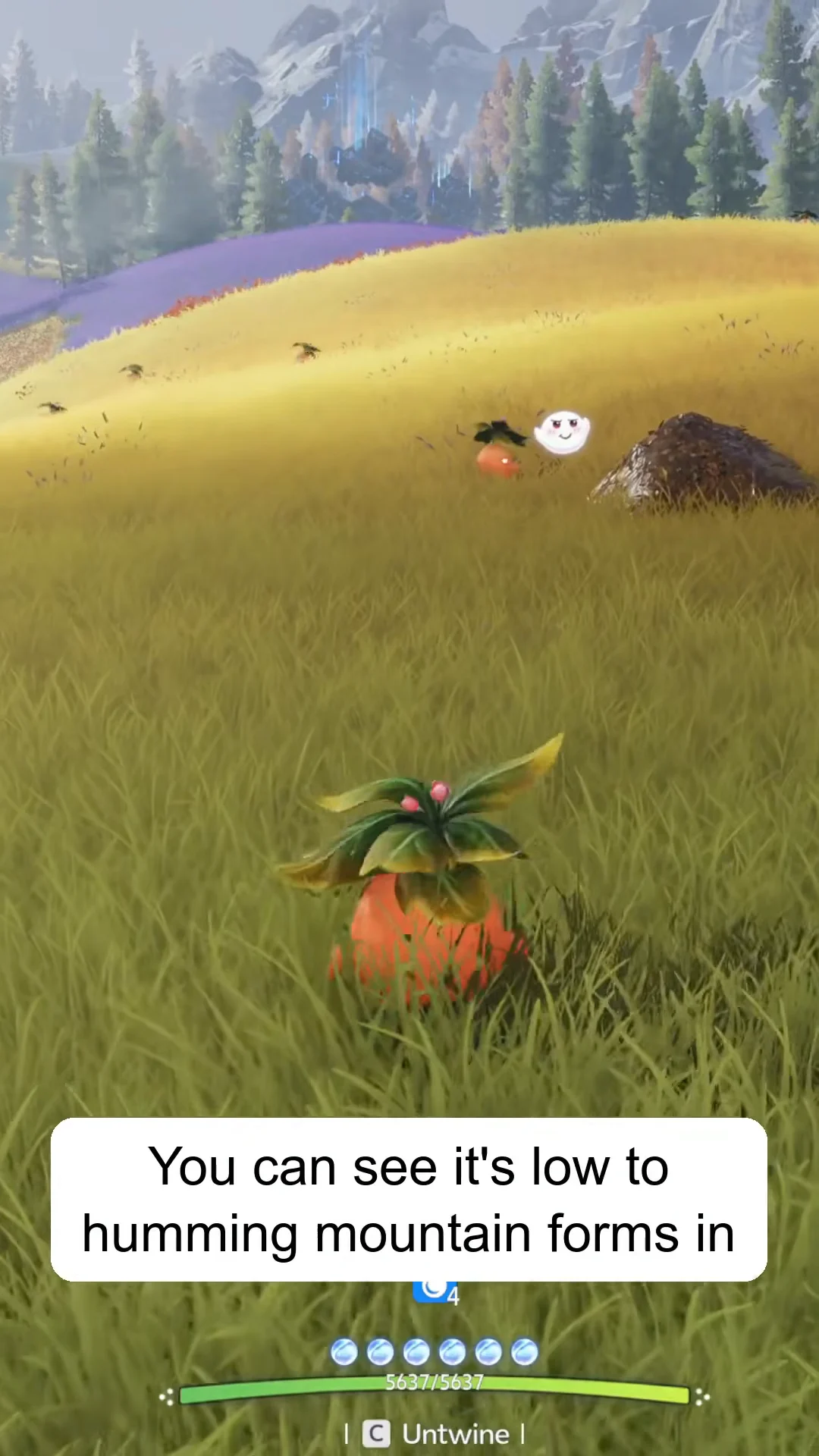 | Location Overview | The creator shows several wild Hummin (Mountain Form)…