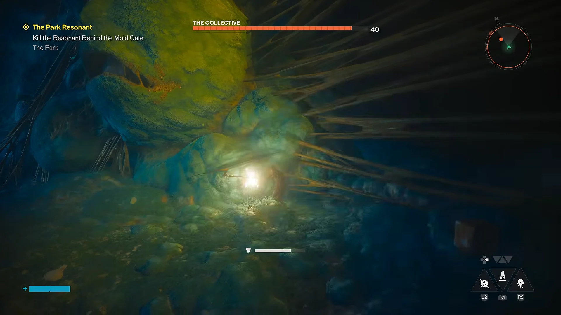 Targeting Face Nodules