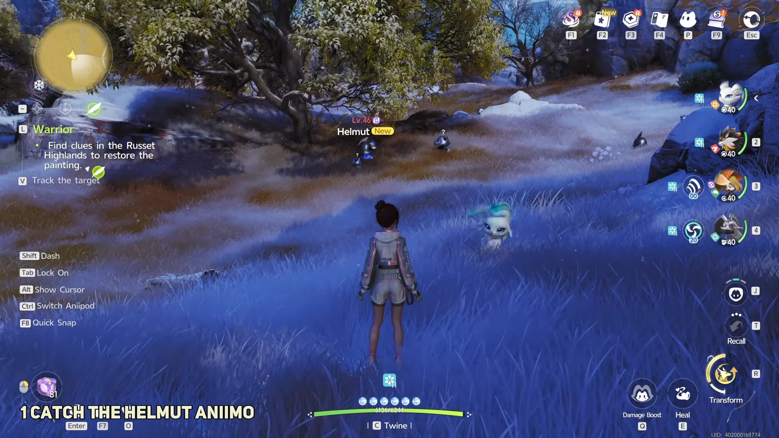 Catching Helmut Aniimo