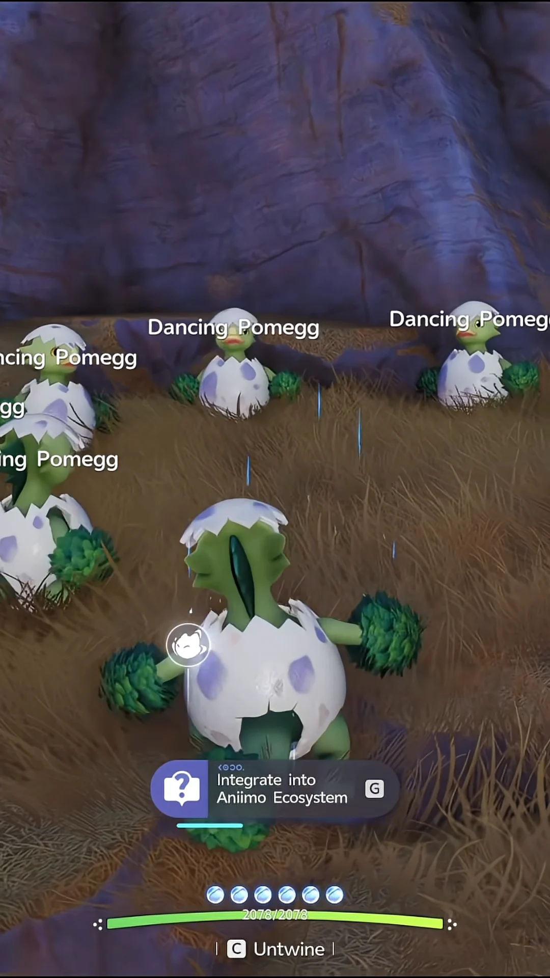 Integrating with Dancing Pomeggs